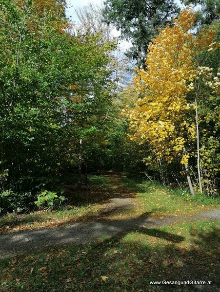 Sängerin Gitarre Friedwald Heiligenberg Bodensee Bodenseeregion Musikerin Trauerfeier Verabschiedung Frei Natur Wald